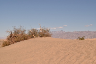 Sand dunes... They shot Star Wars here!